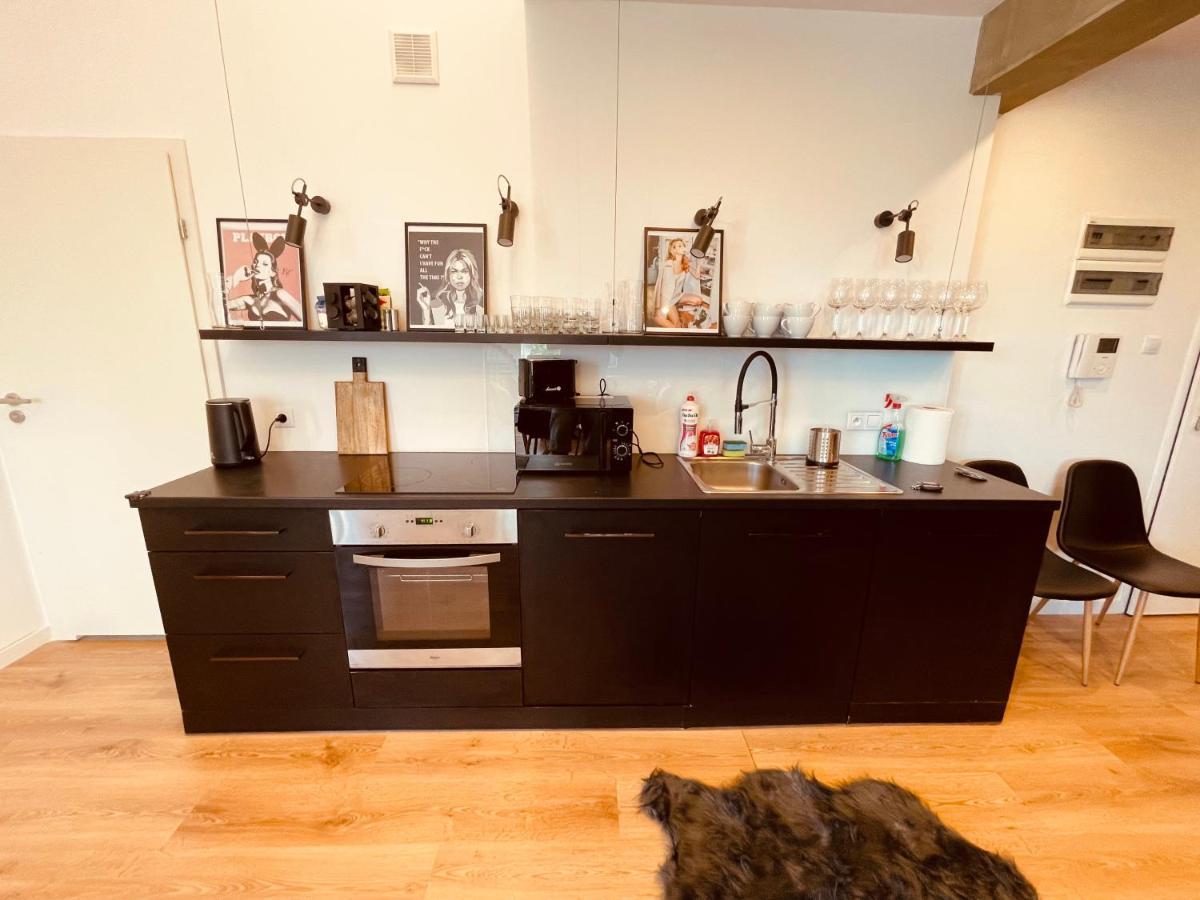 Apartamenty Ktw Penthouse Z Tarasem 卡托维兹 外观 照片